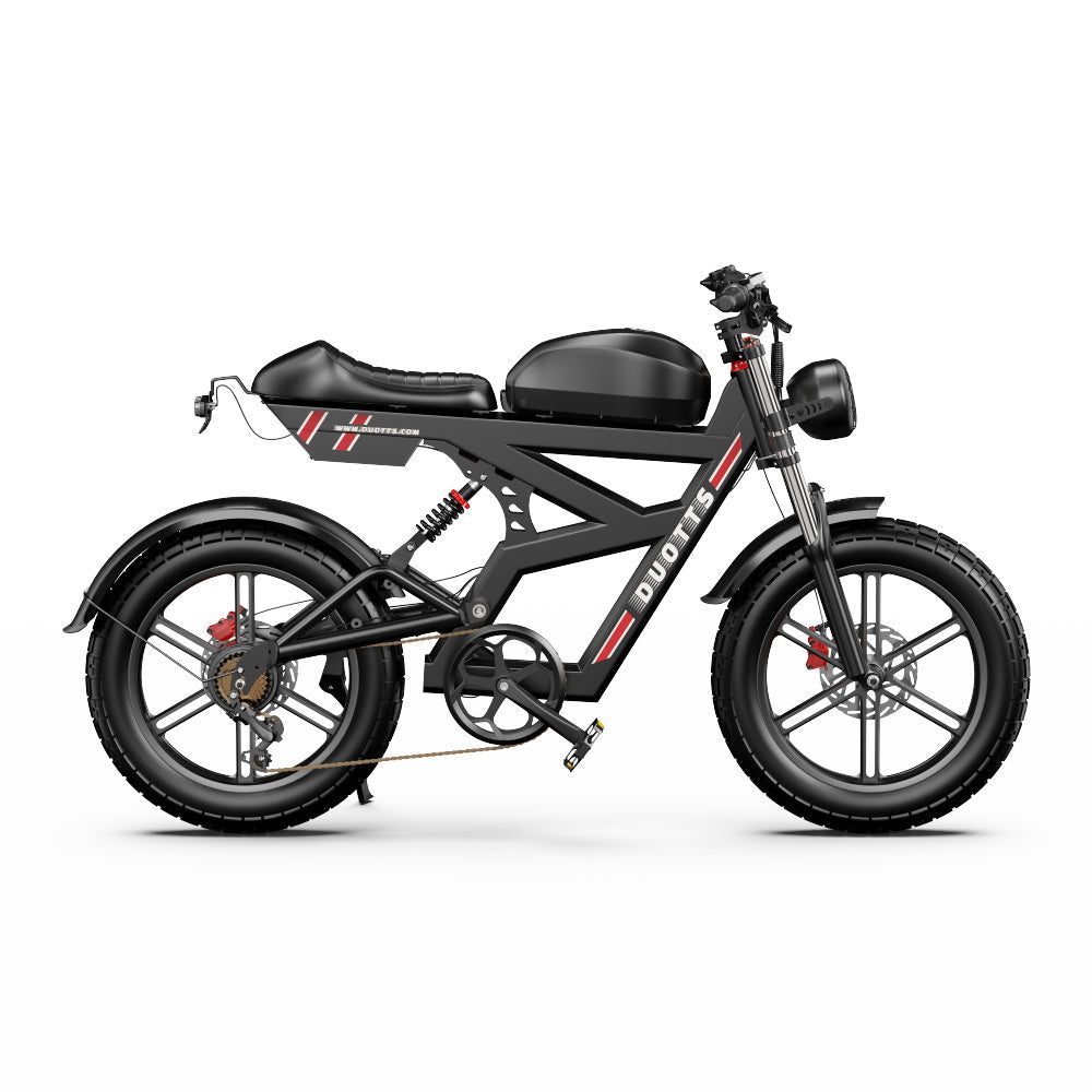 DUOTTS F20 elektrische fiets 27Ah 750W