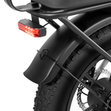 Rattan LF Pro elektrische fiets 250W