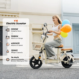iScooter Y16 Elektrische Scooter 1200W