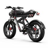 DUOTTS F20 elektrische fiets 27Ah 750W
