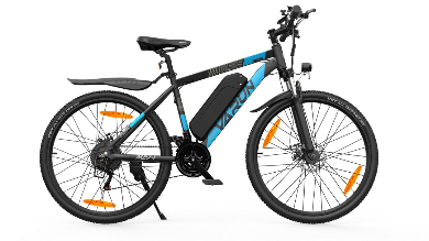 VARUN M27-1 Elektrische Fiets 250W
