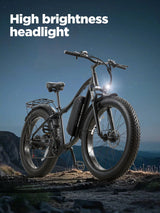 Burchda RX02 elektrische fiets 1000W