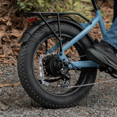 FAFREES F20 Rover elektrische fiets 250W