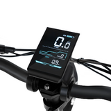 Rattan LF Pro elektrische fiets 250W