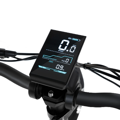 Rattan LF Pro elektrische fiets 250W