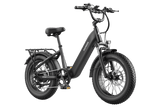 FAFREES F20 Rover elektrische fiets 250W