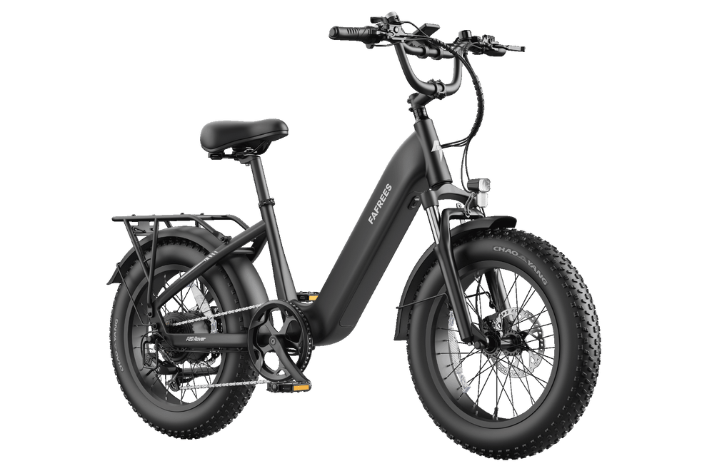 FAFREES F20 Rover elektrische fiets 250W