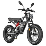 Fafrees F20 Ultra elektrische fiets (versie met verbeterde remmen), 750W motor, 48V 25Ah