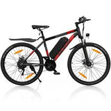 VARUN M27-1 Elektrische Fiets 250W