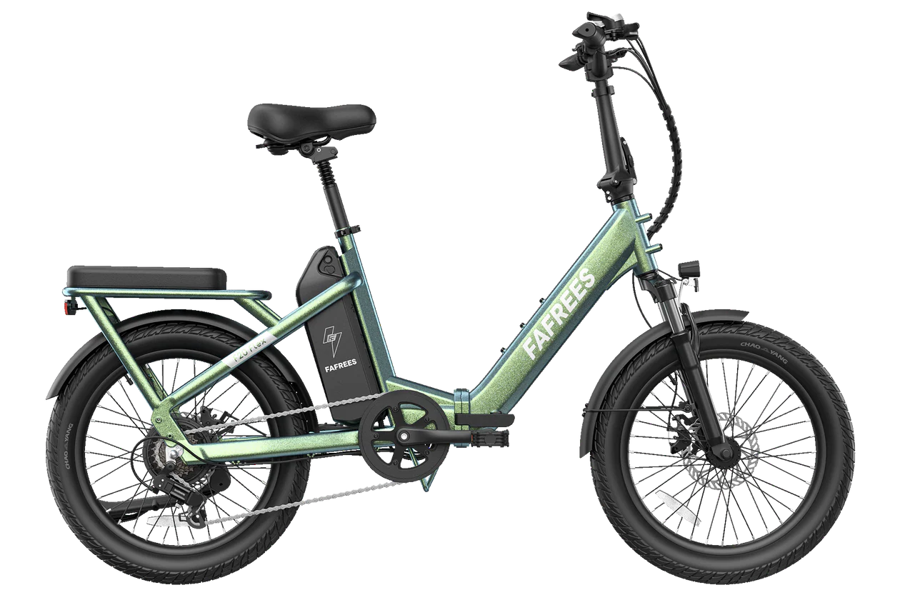 Fafrees F20 Flex elektrische fiets 36V 25Ah