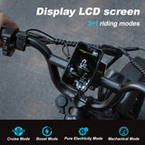 AVDL A13 Elektrische fiets 250W