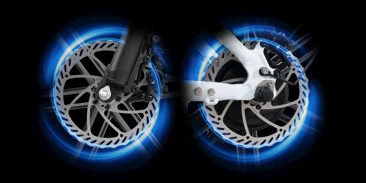 Rattan LF Pro elektrische fiets 250W