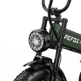 Apefox RH20 elektrische fiets 500W*2