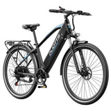 DUOTTS C29 Max elektrische fiets, 250W motor, 48V 18Ah