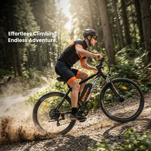 Touroll U2 Pro elektrische fiets, 750W piekmotor, 48V 15Ah