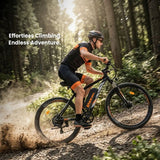 Touroll U2 Pro elektrische fiets, 750W piekmotor, 48V 15Ah