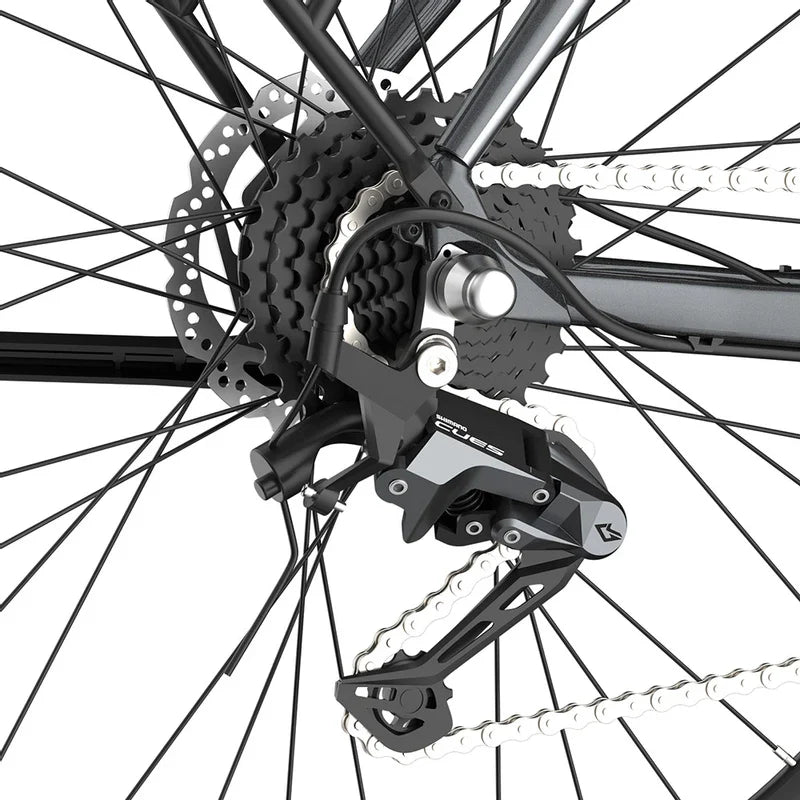Fafrees F700W elektrische fiets met een actieradius van 100 km.
