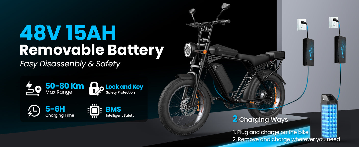 AtlasTrek X5 elektrische fiets 48V 15Ah 250W