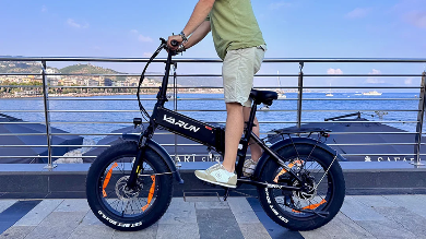 VARUN S20-1 Elektrische Fiets
