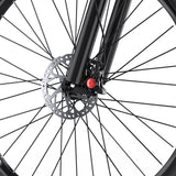 DUOTTS C29L Elektrische Fiets