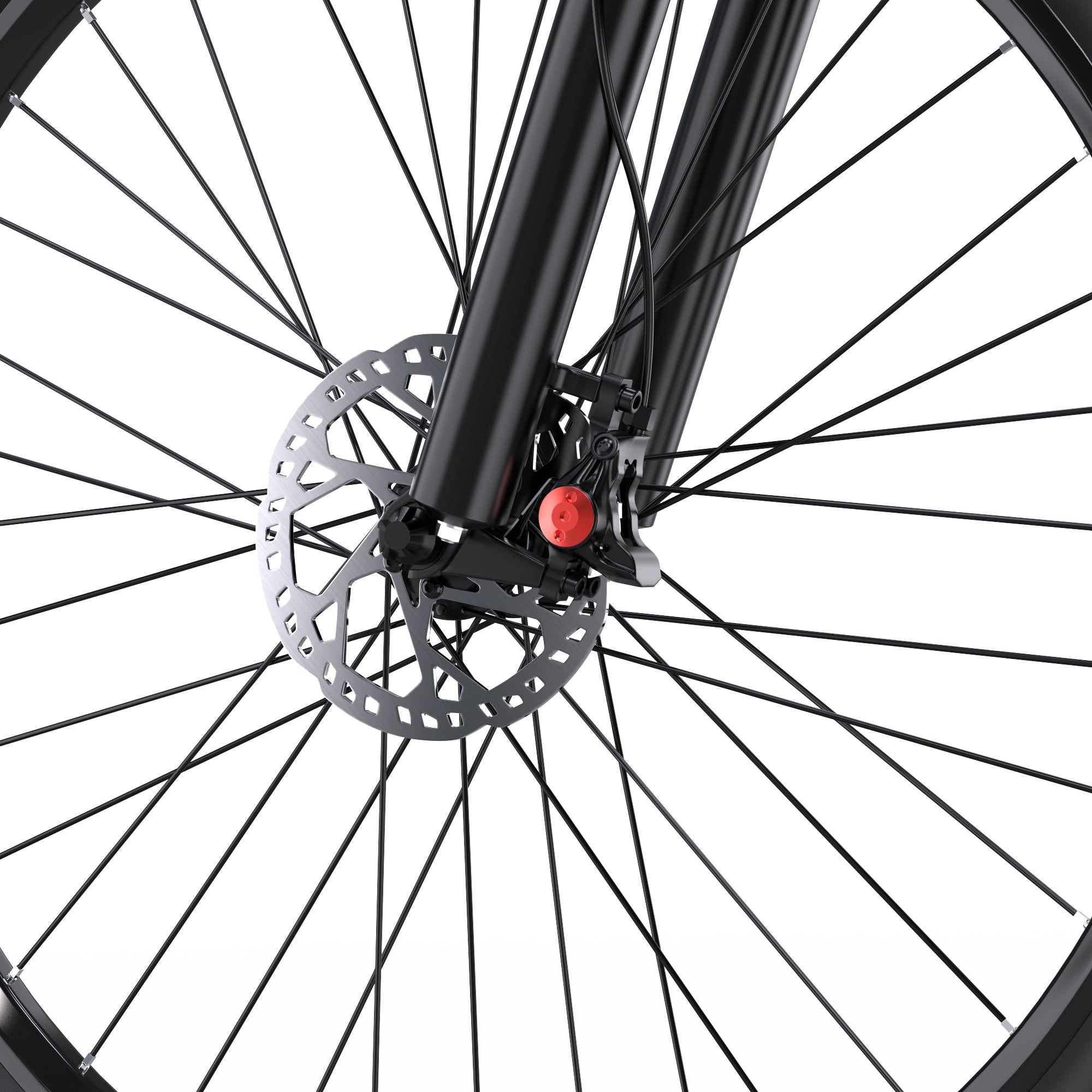 DUOTTS C29L elektrische fiets 2x accu's