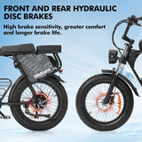 Hidoes B9 elektrische fiets, 750W motor, 48V 18.2Ah+15.6Ah dubbele accu
