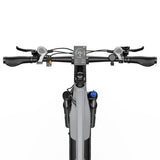 DUOTTS E29 elektrische fiets, 250W motor, 48V 13,5Ah accu, 70 cm