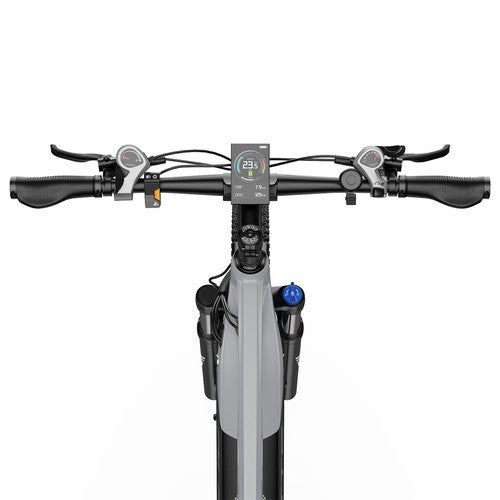 DUOTTS E29 elektrische fiets, 250W motor, 48V 13,5Ah accu, 70 cm
