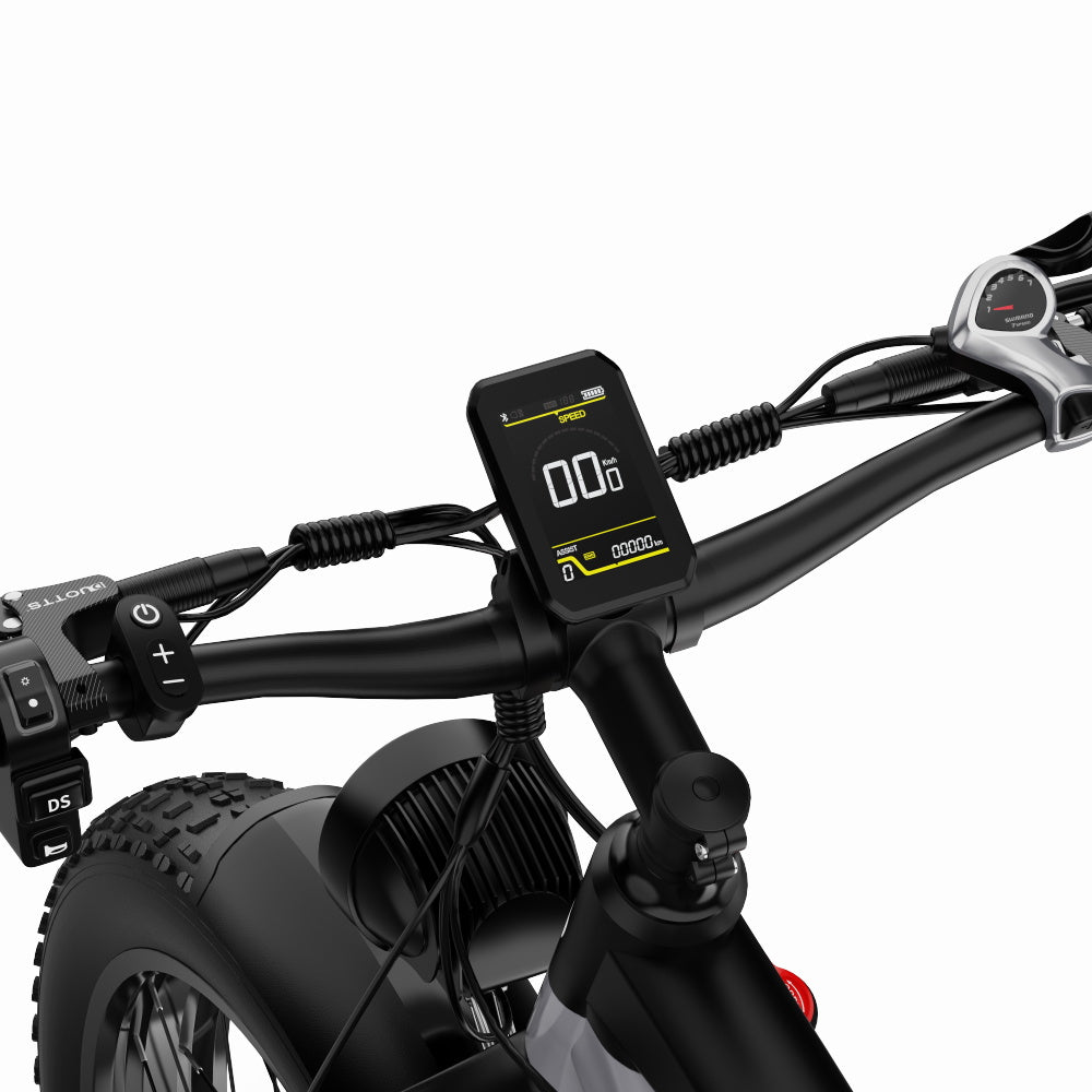 DUOTTS F26 PRO 750 W*2 elektrische fiets
