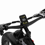 DUOTTS F26 PRO 750 W*2 elektrische fiets