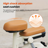 iScooter Y16 Elektrische Scooter 1200W