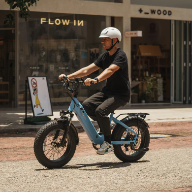 FAFREES F20 Rover elektrische fiets 250W
