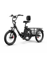 ONESPORT OT30 PRO Driewielige Elektrische Fiets