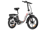FAFREES F20 elektrische fiets