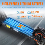 TWOFISH V1 MAX elektrische scooter, 400W motor