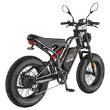 Fafrees F20 Ultra elektrische fiets (versie met verbeterde remmen), 750W motor, 48V 25Ah