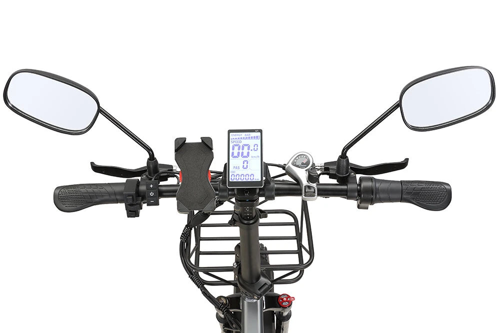 SINOHON AW20 Elektrische Fiets 48V 20AH 1000W