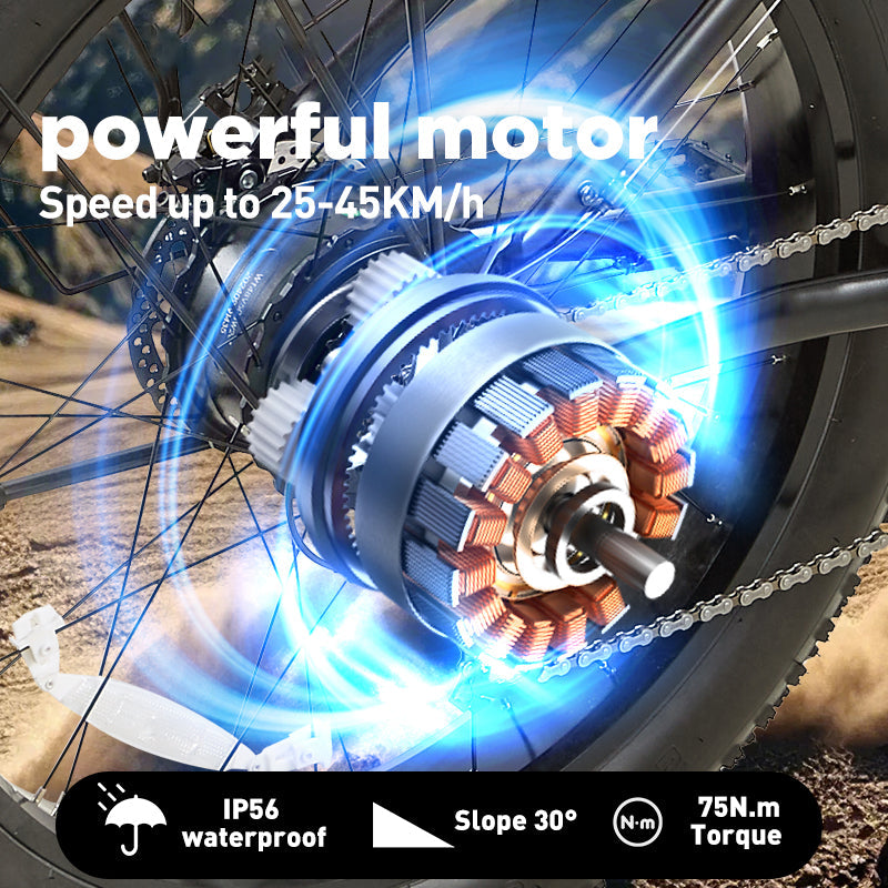 Burchda RX02 elektrische fiets 1000W