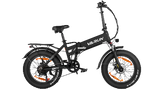 VARUN S20-1 Elektrische Fiets