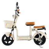 iScooter Y16 Elektrische Scooter 1200W