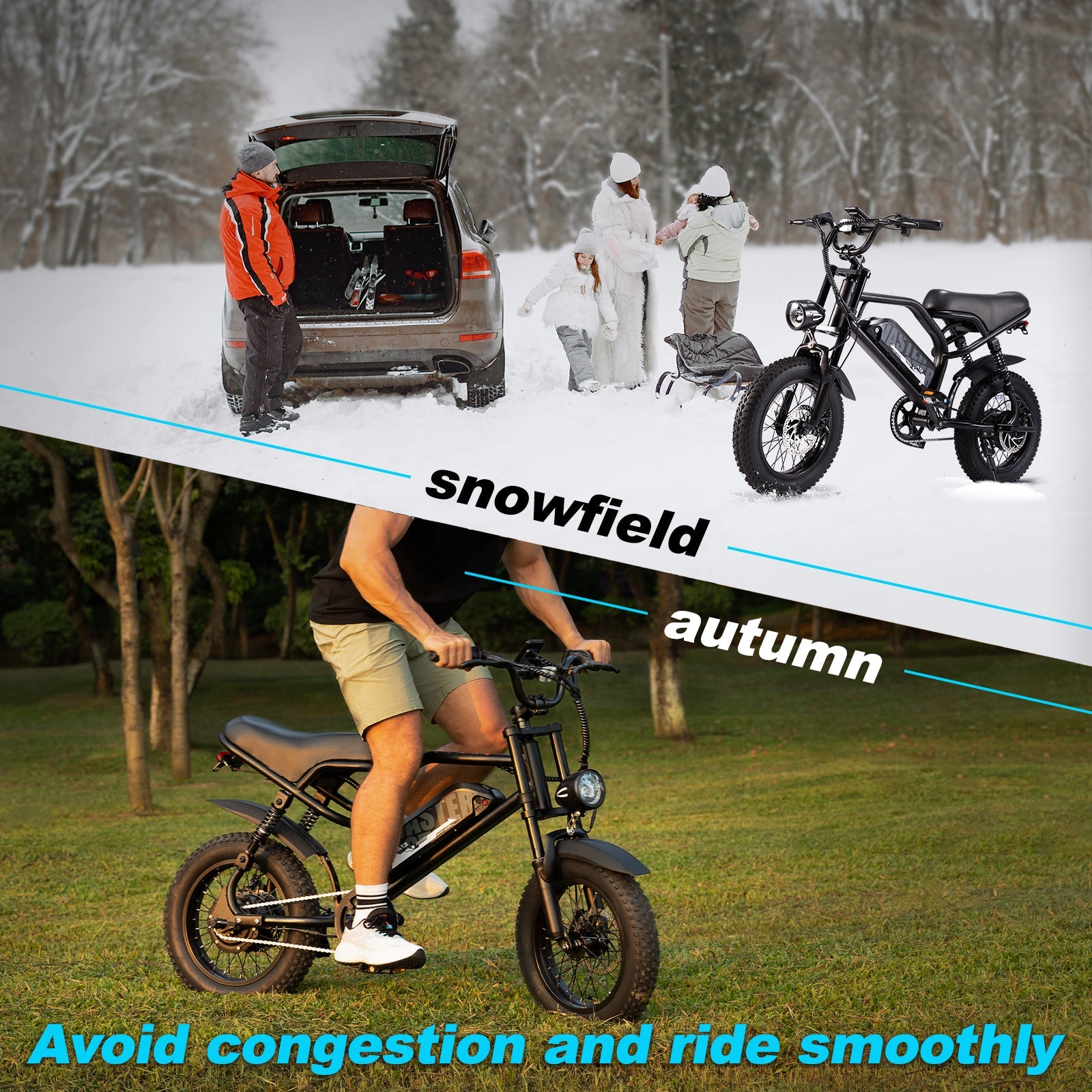 AVDL A13 Elektrische fiets 250W