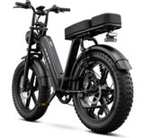 SAIBAIKE R7 Elektrische Fiets 750W