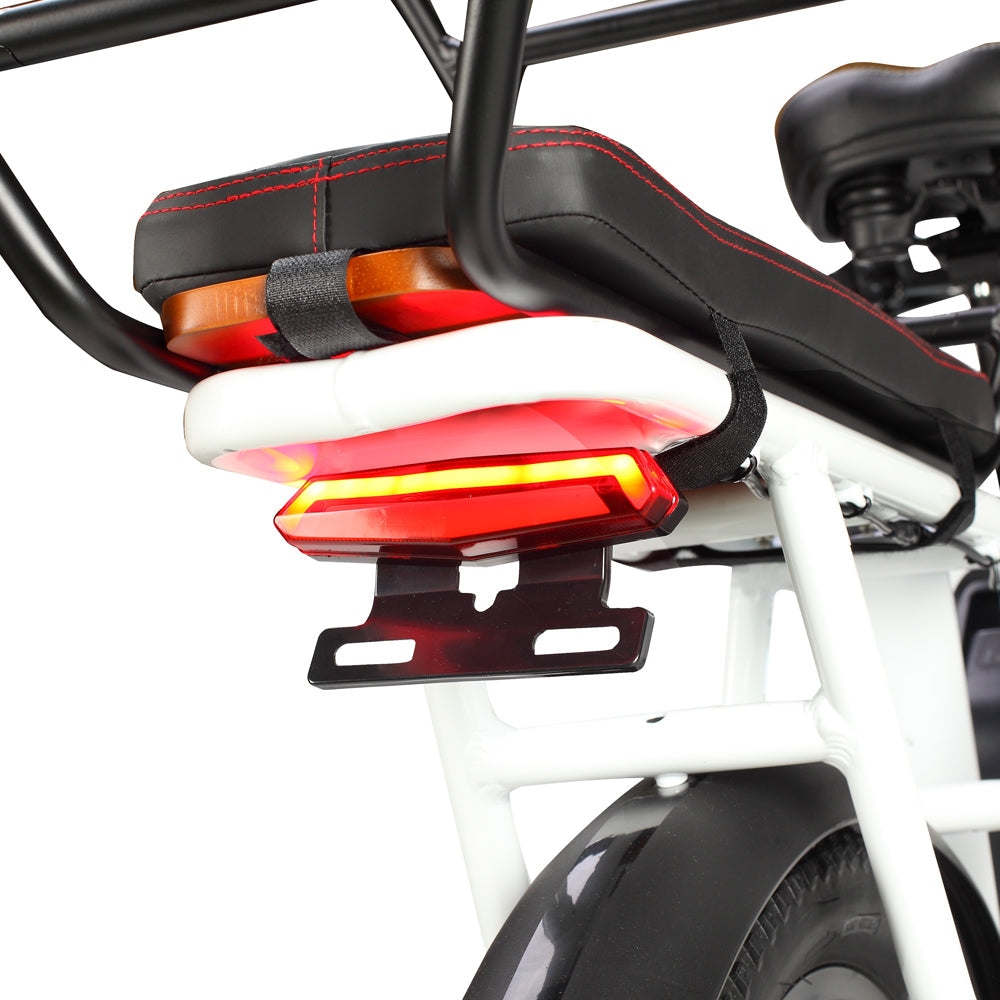 PHILODO Traveller elektrische fiets voor het hele gezin en met bagage.