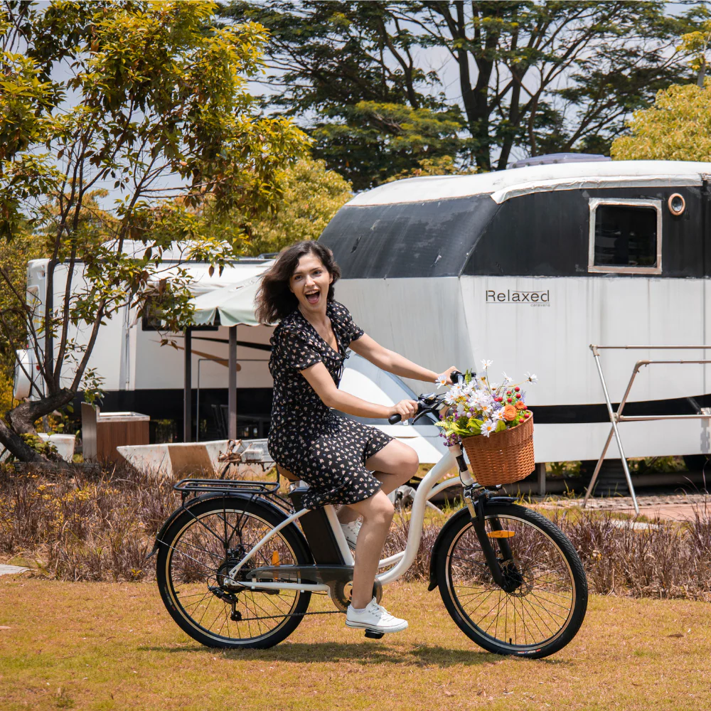 DYU C6 26 inch stedelijke elektrische fiets
