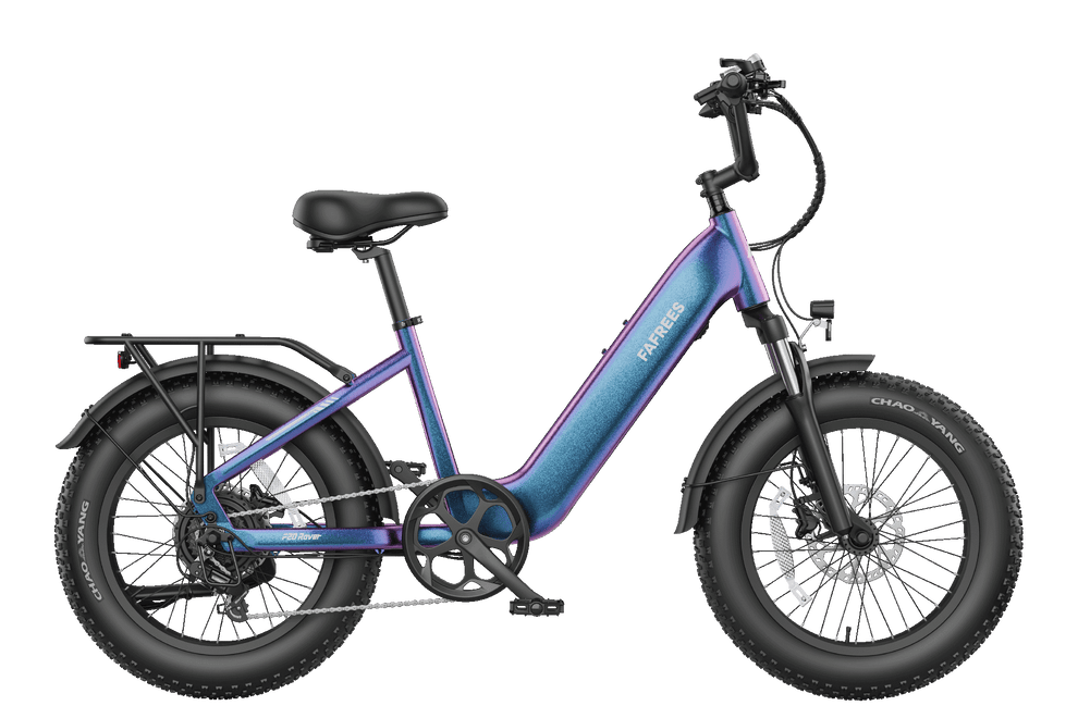 FAFREES F20 Rover elektrische fiets 250W