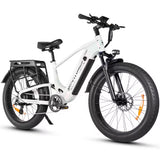 SAMEBIKE STORM 1000W Elektrische Mountainbike met Dikke Banden