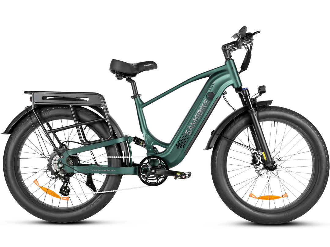 SAMEBIKE STORM 1000W Elektrische Mountainbike met Dikke Banden