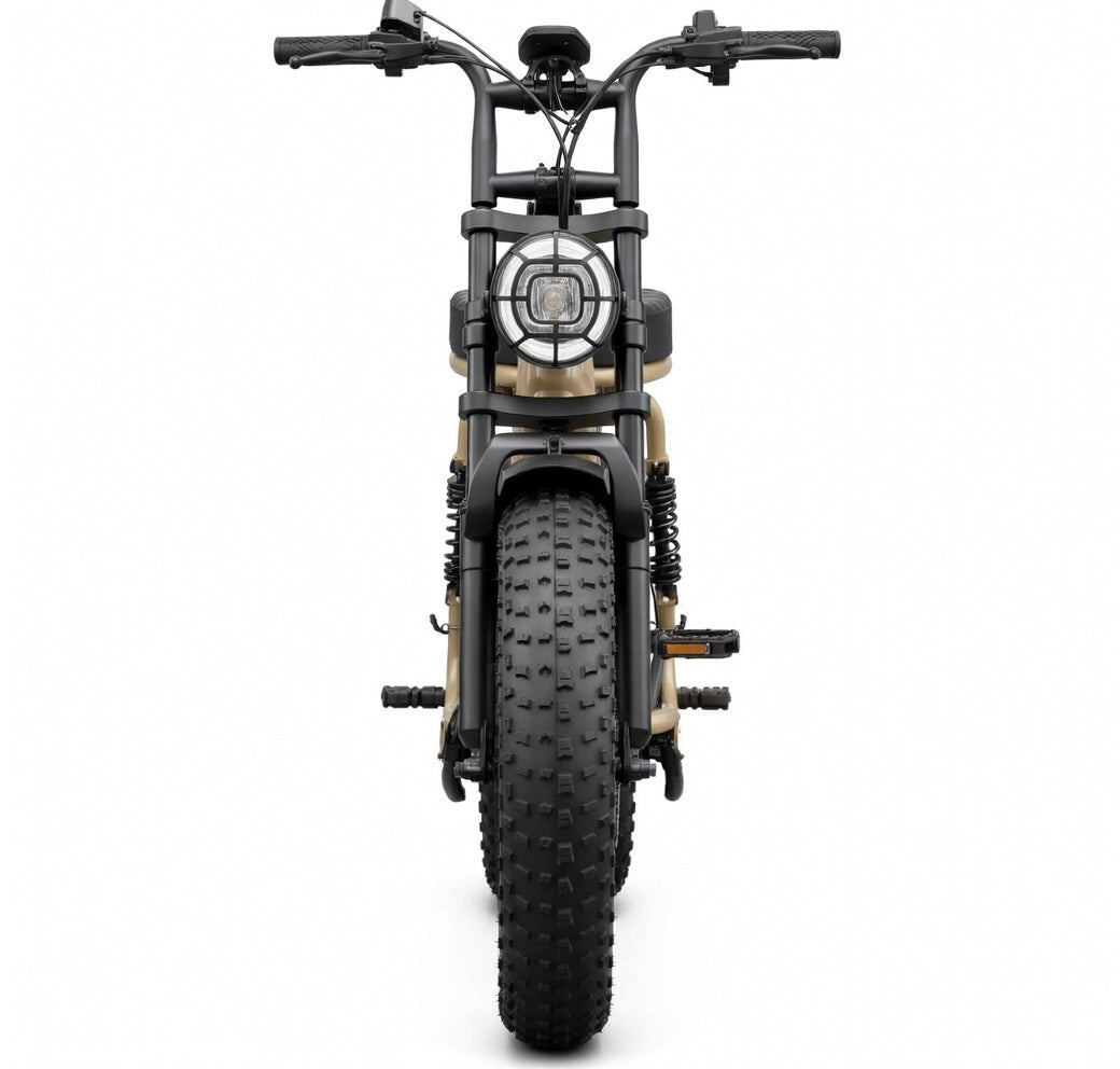 SAIBAIKE R7 Elektrische Fiets 750W