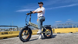 VARUN S20-1 Elektrische Fiets