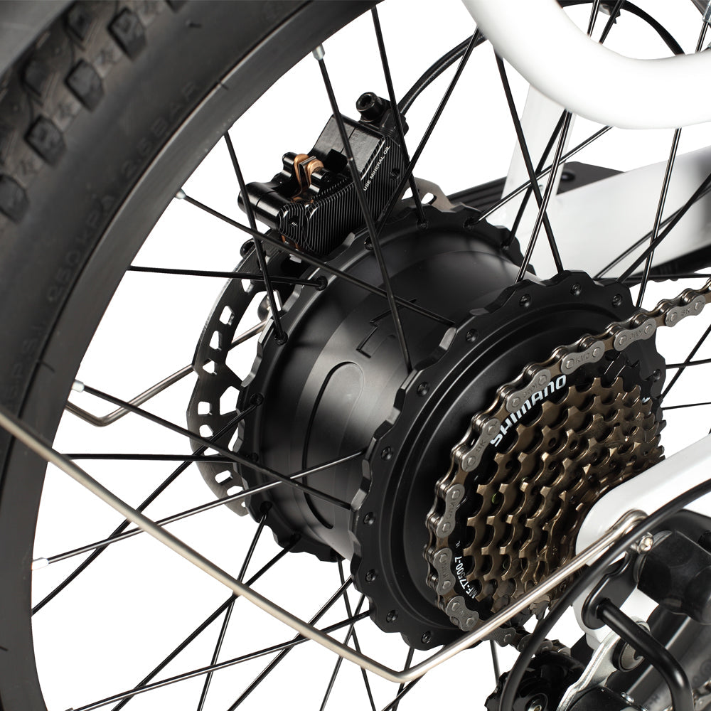 PHILODO Traveller elektrische fiets voor het hele gezin en met bagage.